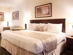 Best Western Jacksonville Inn Quarto foto